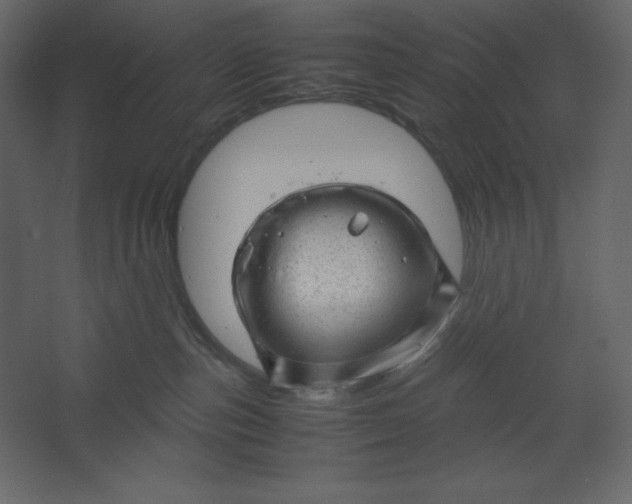 X0000067480187200604211642