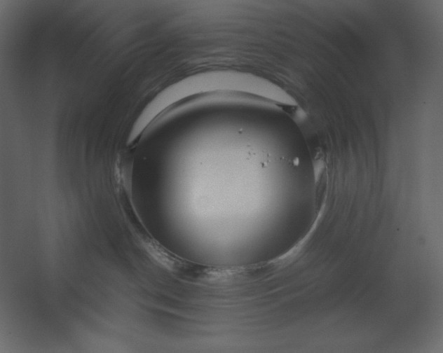 X0000067480190200604211643