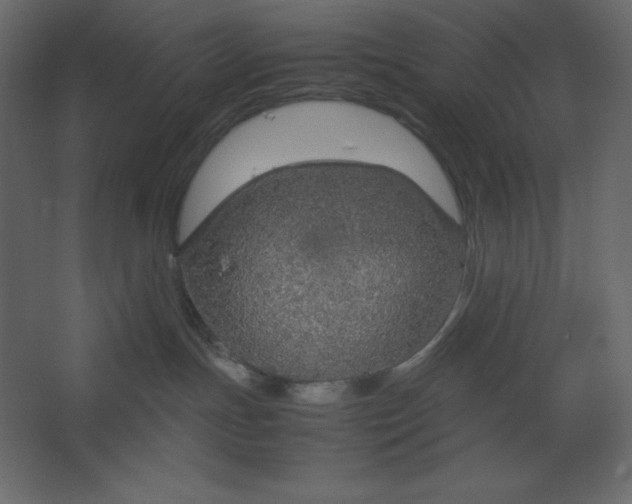 X0000067480191200604211643