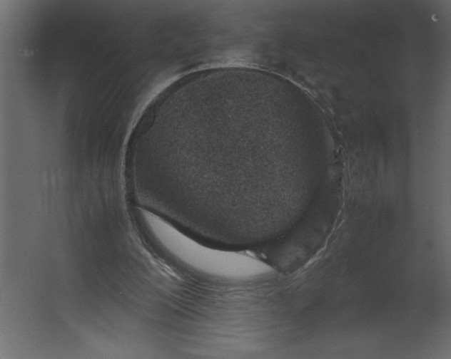 X0000067480200200604211642