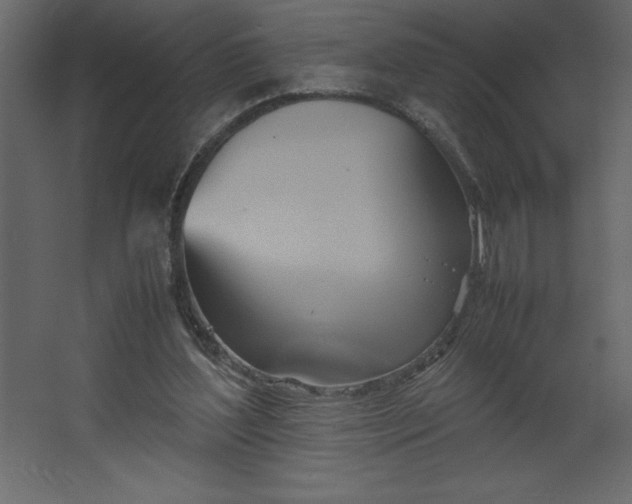 X0000067480204200604211642