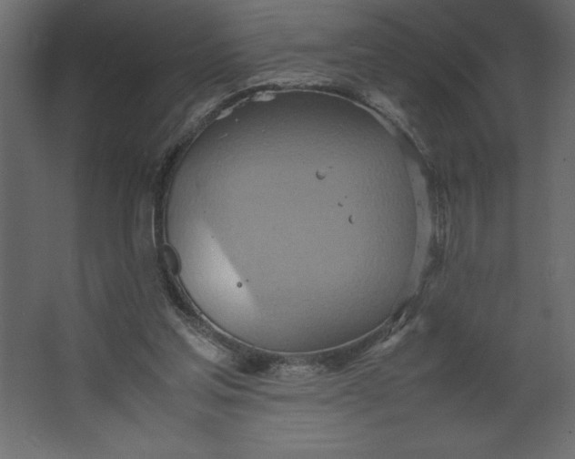 X0000067480205200604211642