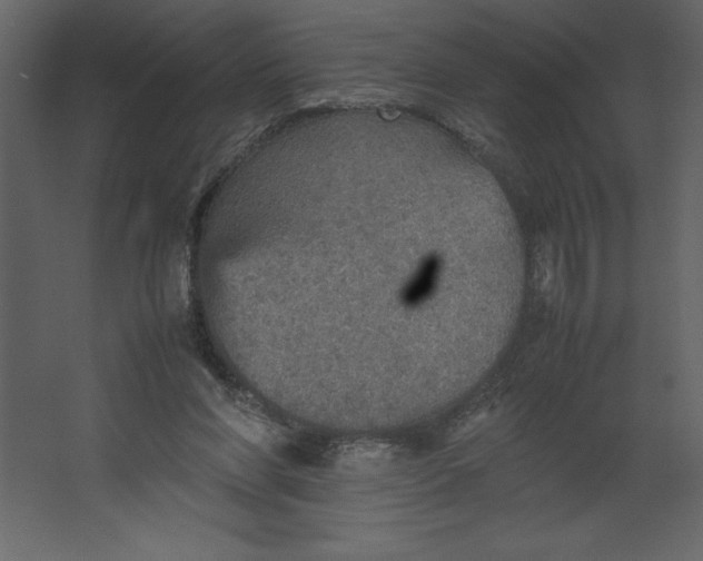 X0000067480206200604211642