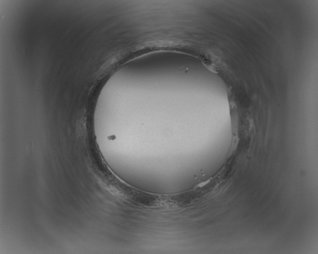 X0000067480207200604211641