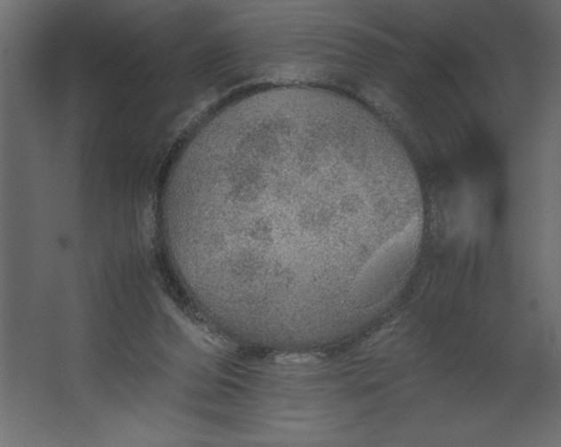 X0000067480208200604211641