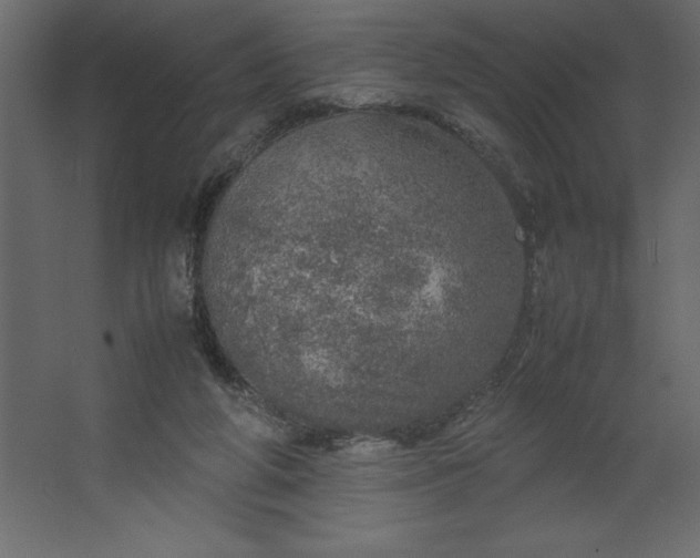 X0000067480210200604211641