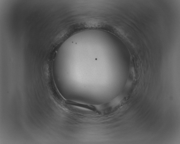 X0000067480211200604211641