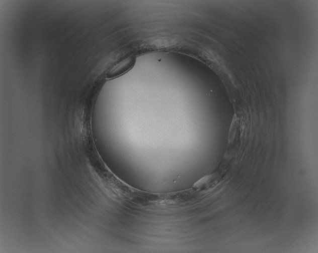 X0000067480212200604211641