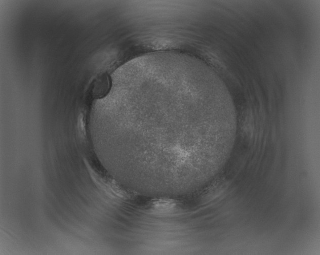 X0000067480214200604211641