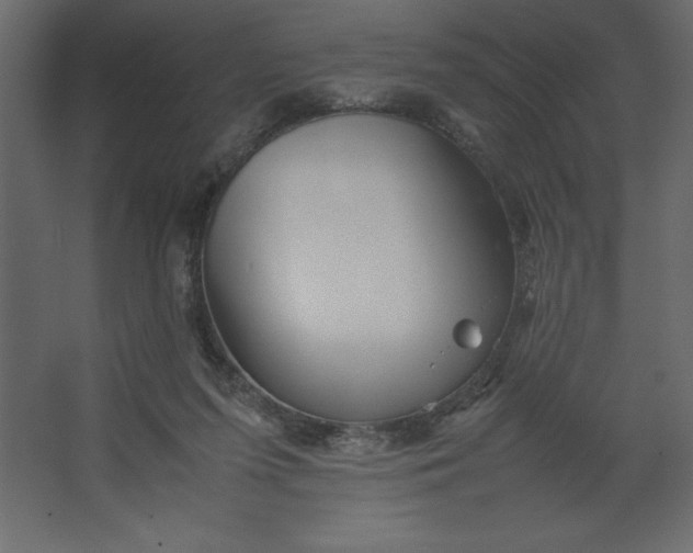 X0000067480215200604211641