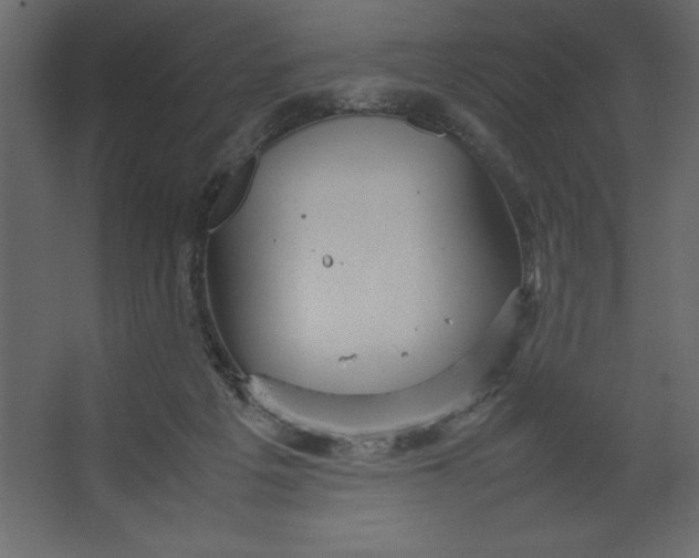 X0000067480217200604211641