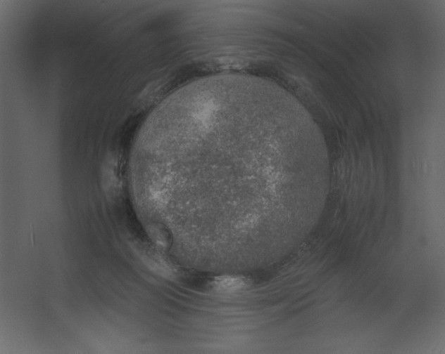 X0000067480218200604211641