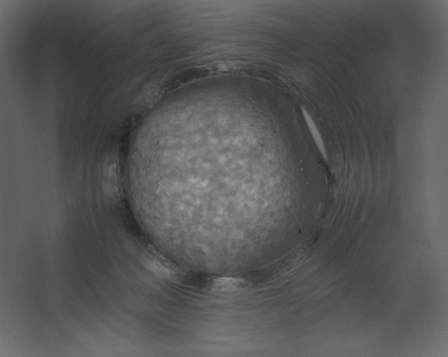 X0000067480222200604211641