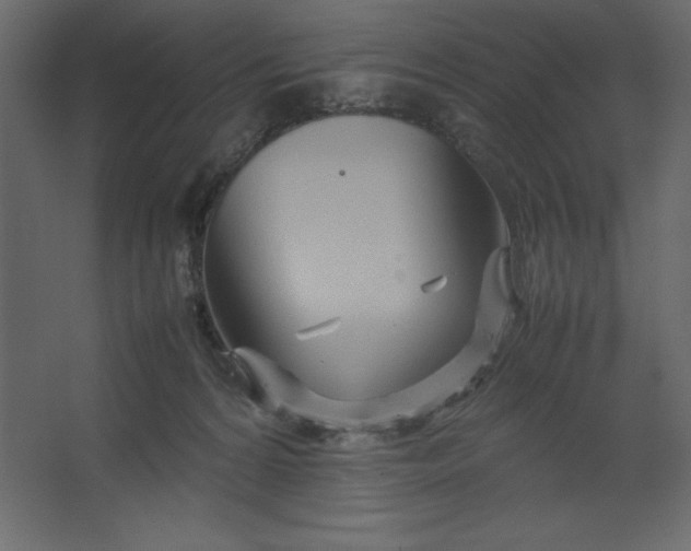 X0000067480224200604211641