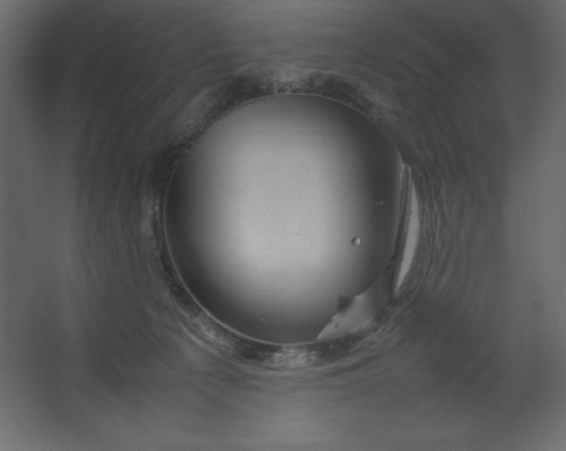 X0000067480225200604211641