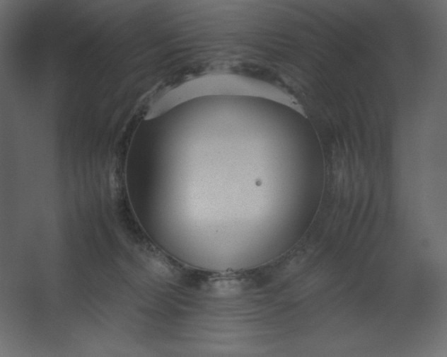 X0000067480228200604211641