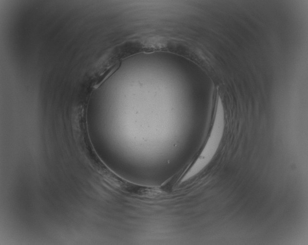 X0000067480229200604211641