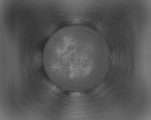 X0000067480230200604211641