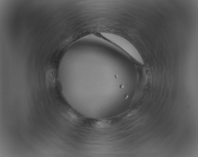 X0000067480232200604211641