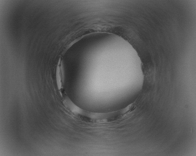 X0000067480233200604211641