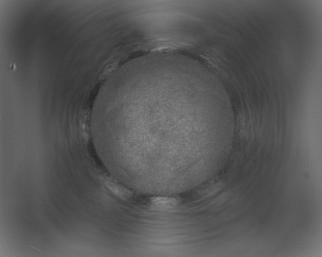 X0000067480234200604211641