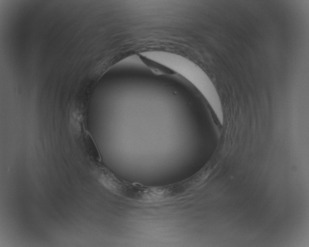 X0000067480235200604211641