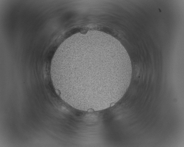 X0000067480236200604211641