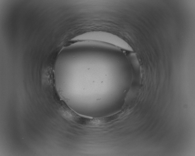 X0000067480237200604211641