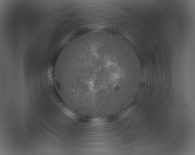 X0000067480238200604211641