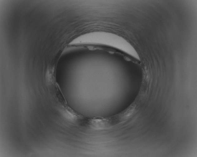 X0000067480239200604211641