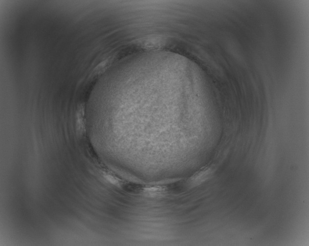 X0000067480240200604211641