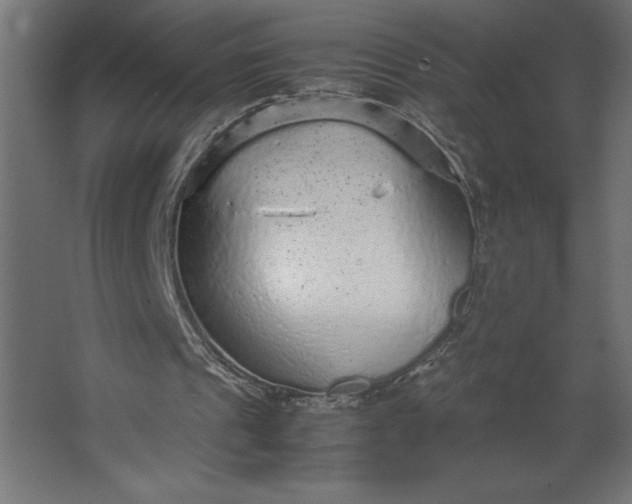 X0000067480241200604211640