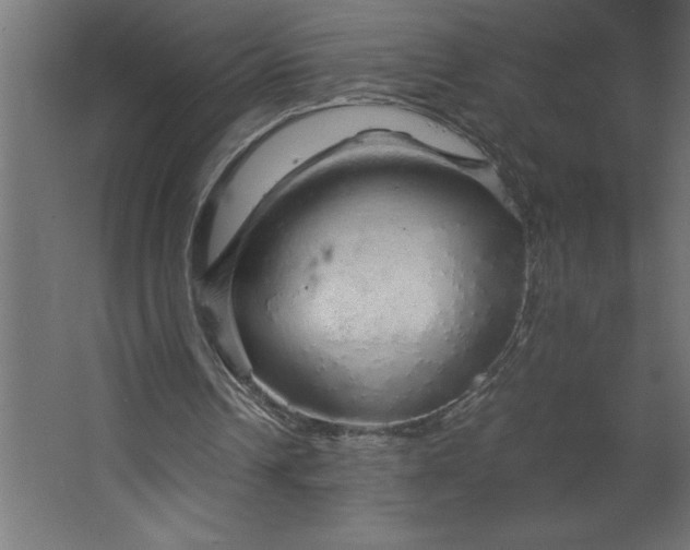 X0000067480242200604211640