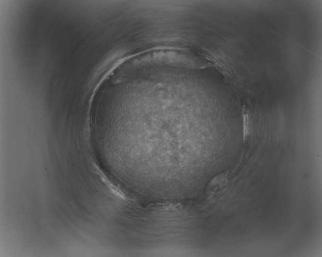 X0000067480243200604211640