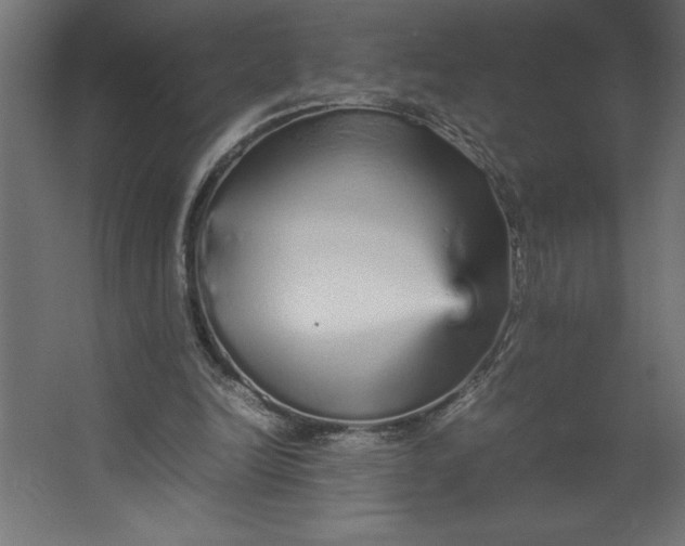 X0000067480246200604211640