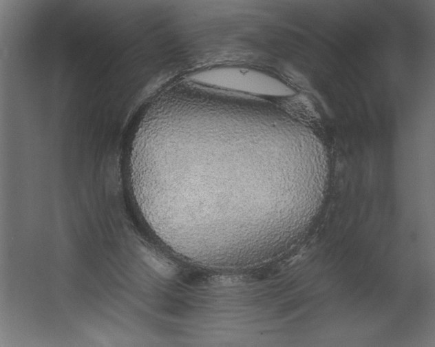 X0000067480250200604211640