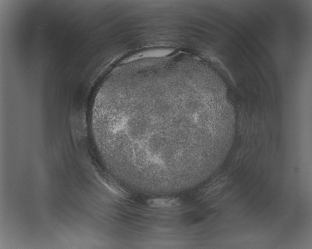 X0000067480251200604211640