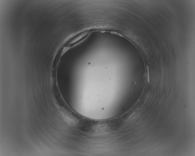 X0000067480252200604211640