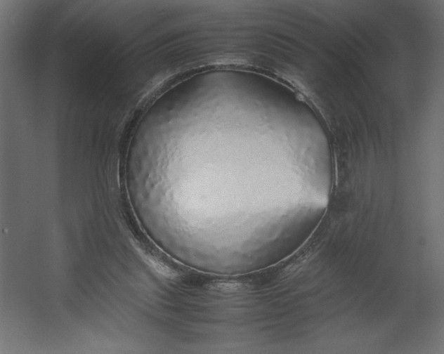 X0000067480253200604211640