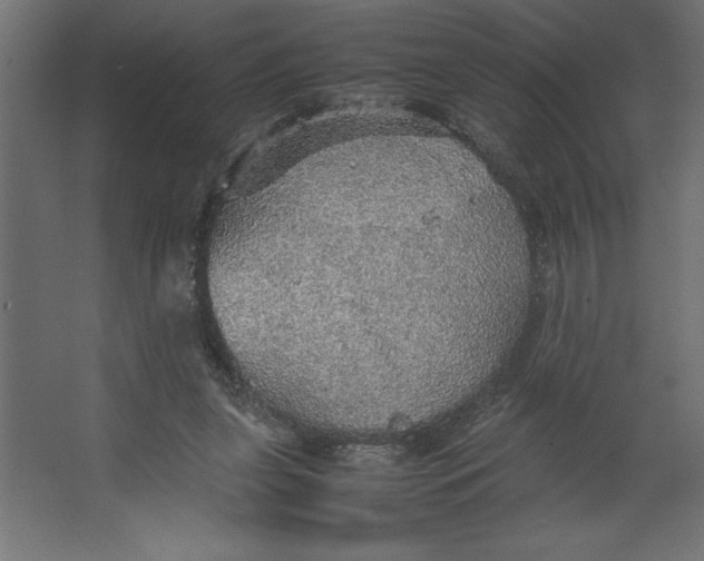 X0000067480255200604211640