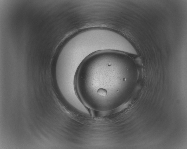 X0000067480256200604211640