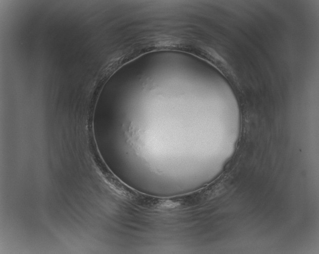 X0000067480257200604211640