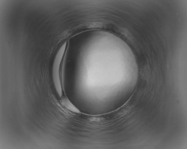 X0000067480261200604211640