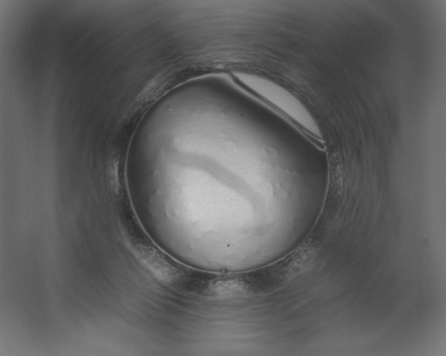 X0000067480262200604211640