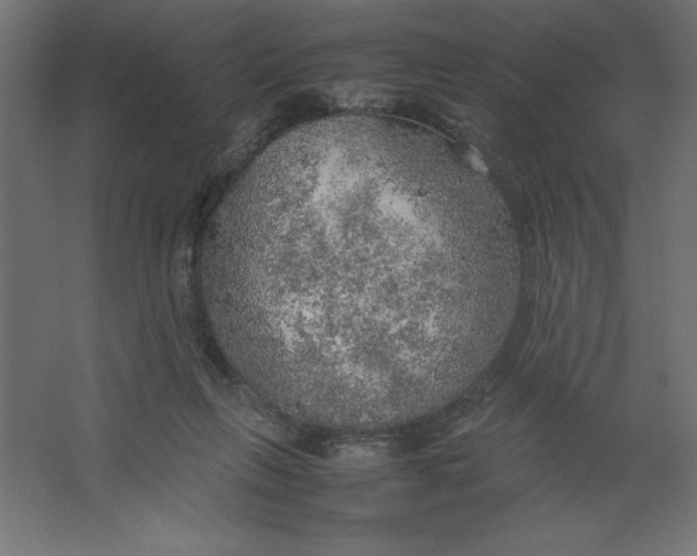 X0000067480263200604211641