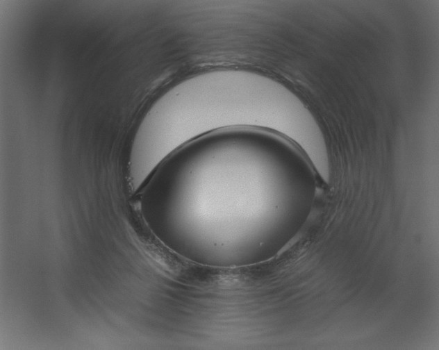 X0000067480264200604211641