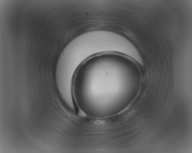 X0000067480265200604211641