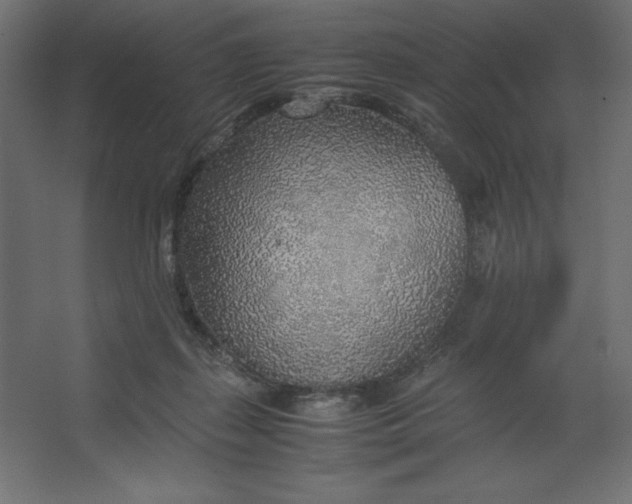 X0000067480267200604211641