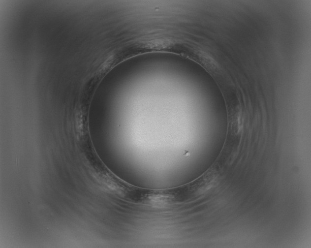 X0000067480268200604211641