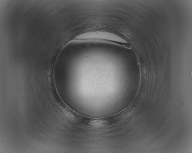 X0000067480269200604211641